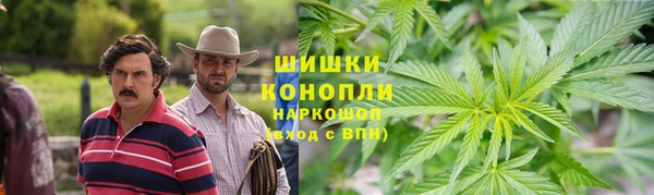 бошки Богданович